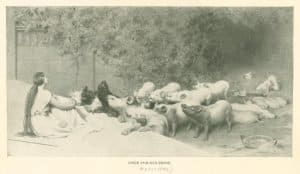 circe and her swine by briton for artist study