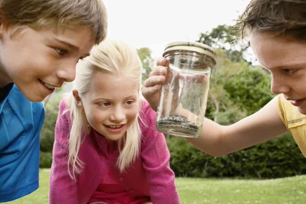 catching snake in a jar nature study