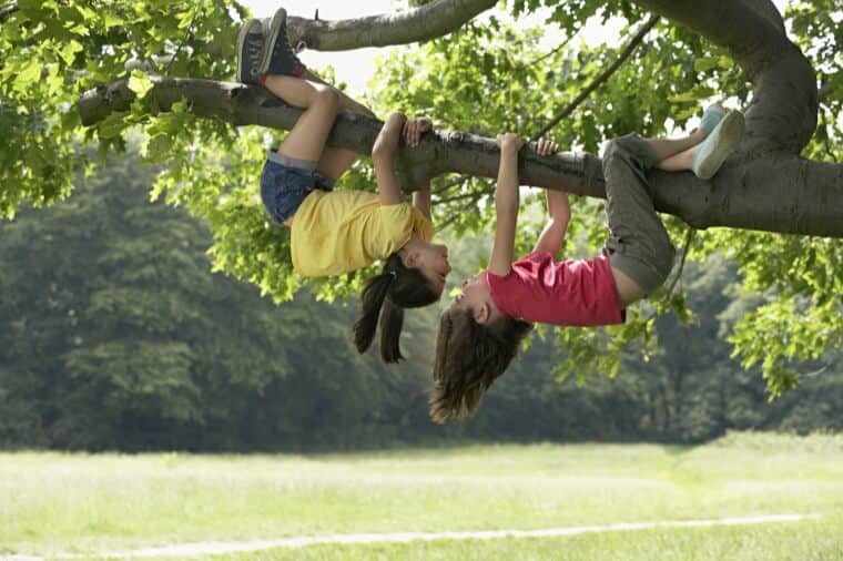 kids hanging upside down from tree