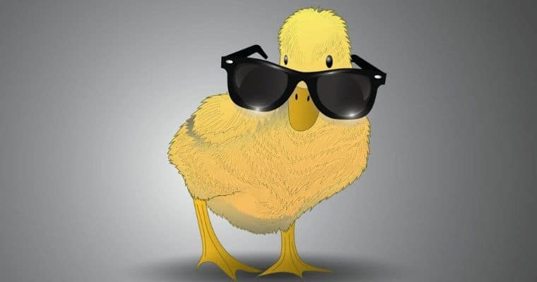 duck wearing sunglasses